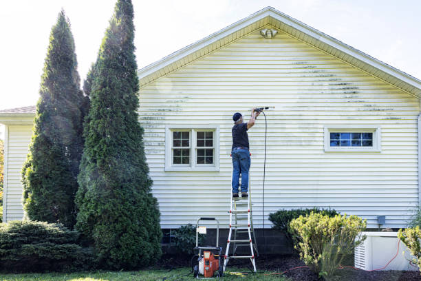 Best Sidewalk and Walkway Cleaning  in Elkader, IA