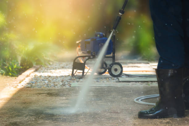 Best Driveway Pressure Washing  in Elkader, IA
